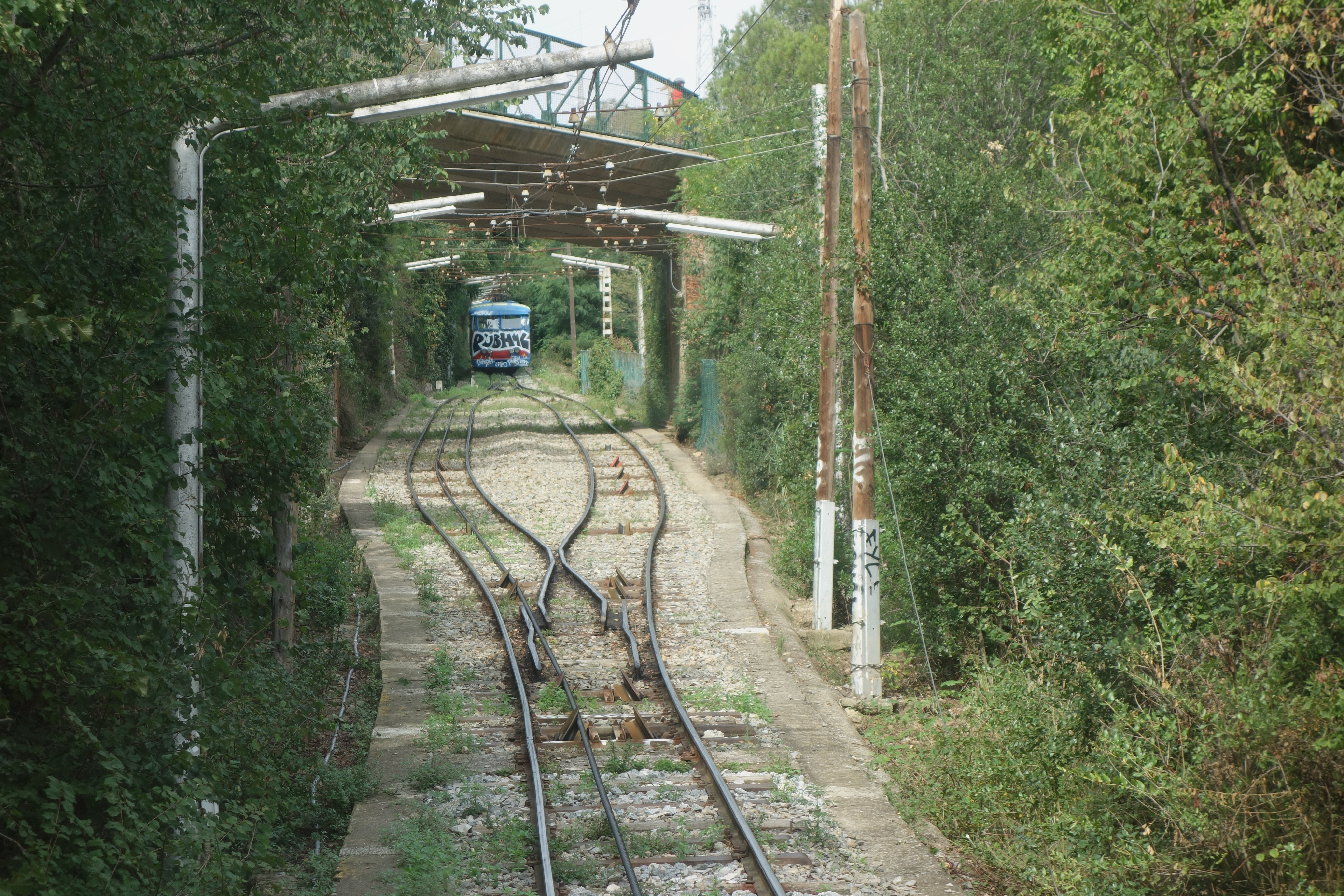 DSC08330
