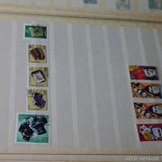 IMG-2007