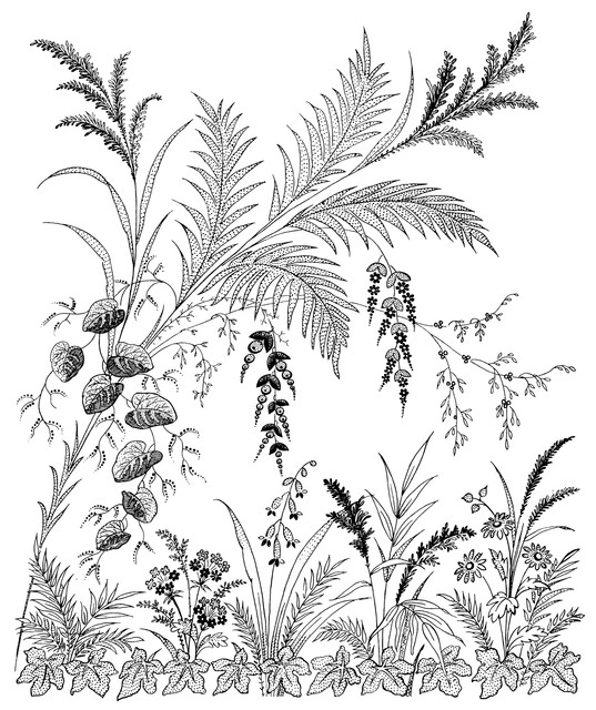 2d3f8501156ba3ff8441fc888449d563.jpg
