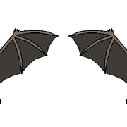 Bat Boys