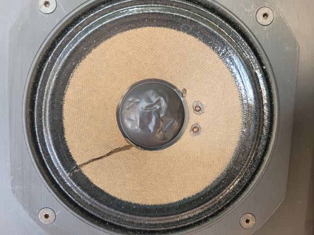[Image: membrane.jpg]