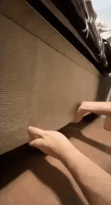 PawGuard instalaci&oacute;n
