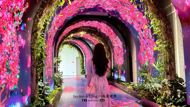 三角梅科博园10.webp