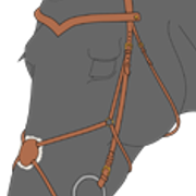 suitset4 1 2