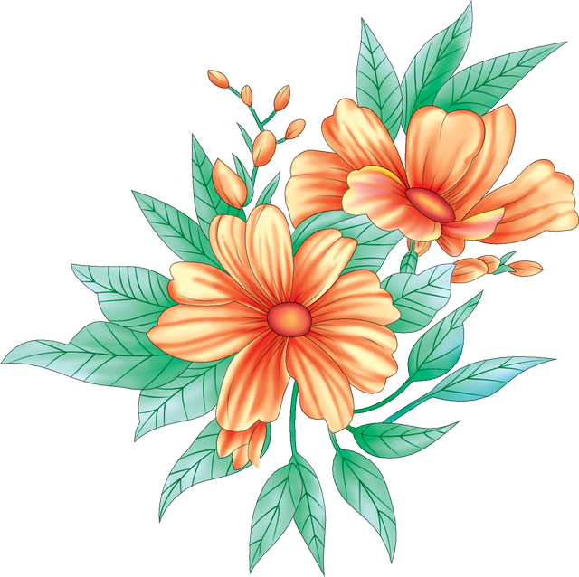 c2770d21f6255d787358d59c21888050.png