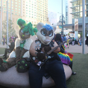 IMG 5628