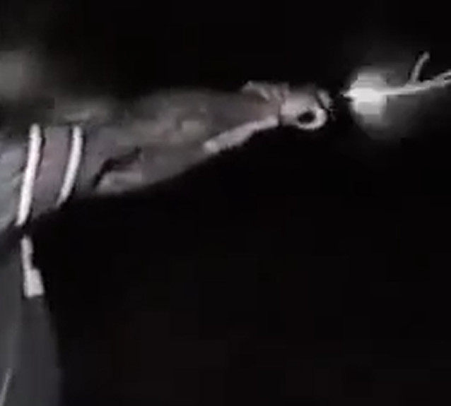 spacer.png