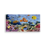 702781-Procurando-Nemo-Fundo-Do-Mar