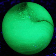 IMG-0230-Sharpen-AI-Motion