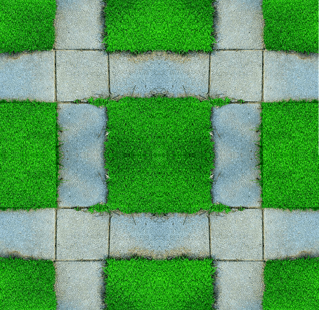 ILBGSYSsv-Lmn-1.png