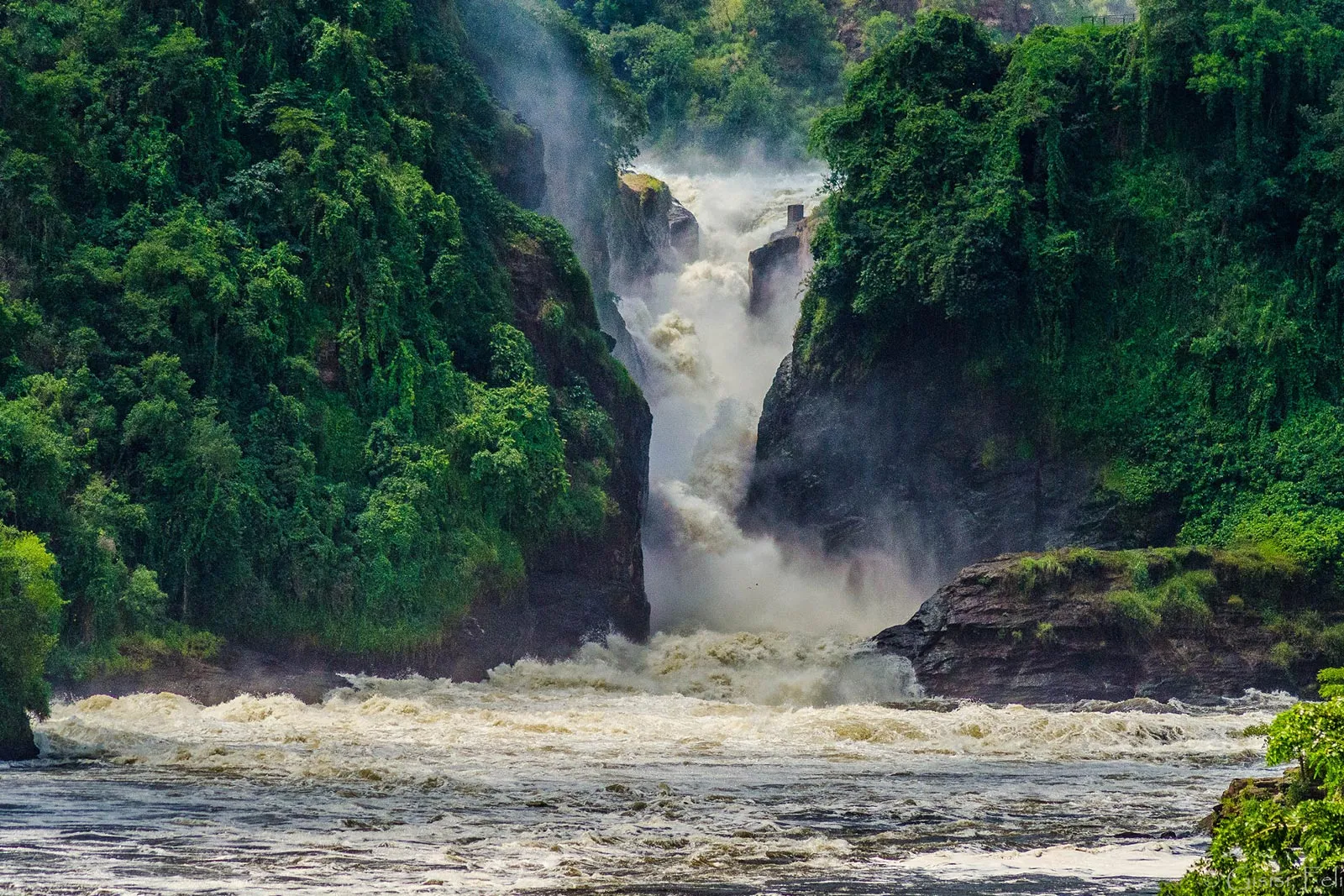 Murchison Falls where the Nile forces through a gorge