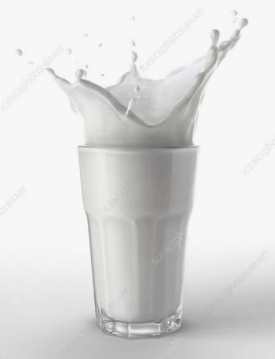 Camel milk