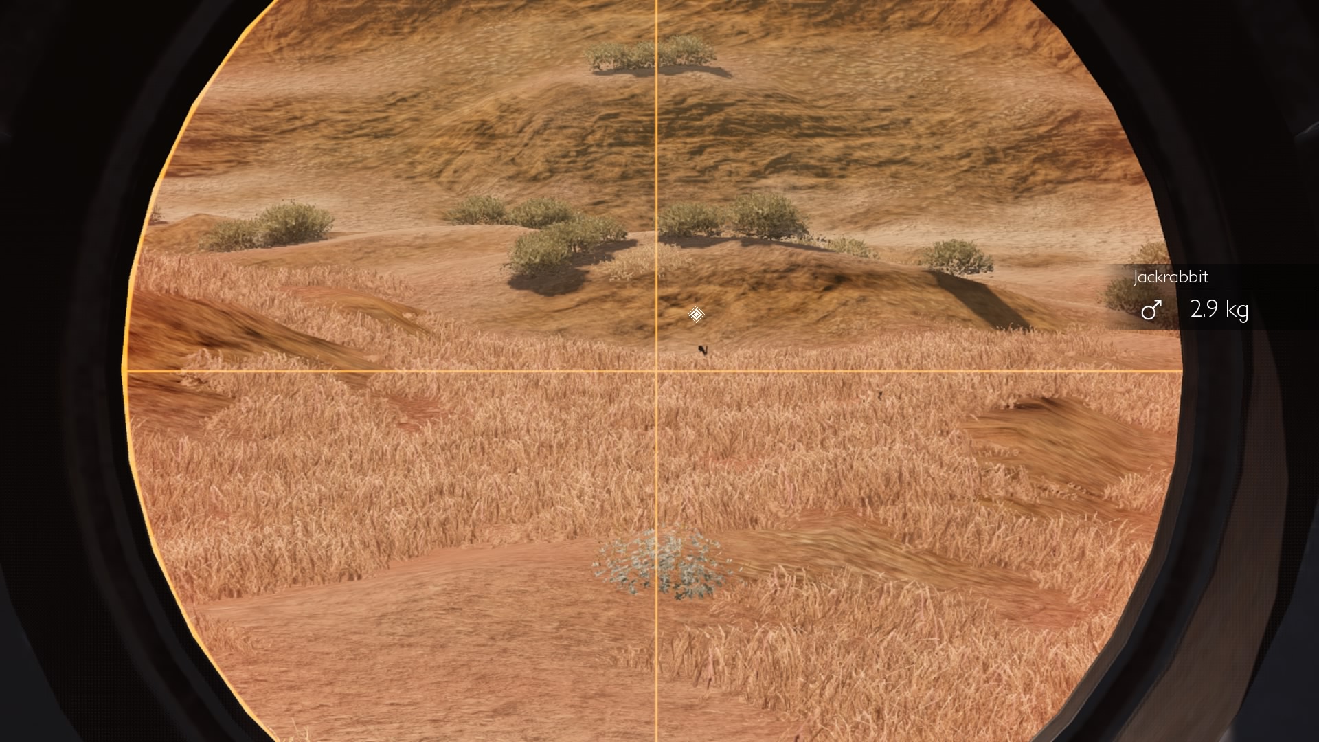 Hunting-Simulator-20250412585744.jpg