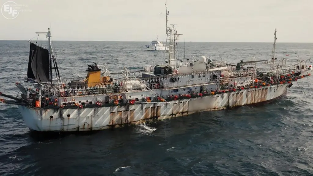 Illicit Squid Fishing Exposed: Forced Labour Rampant