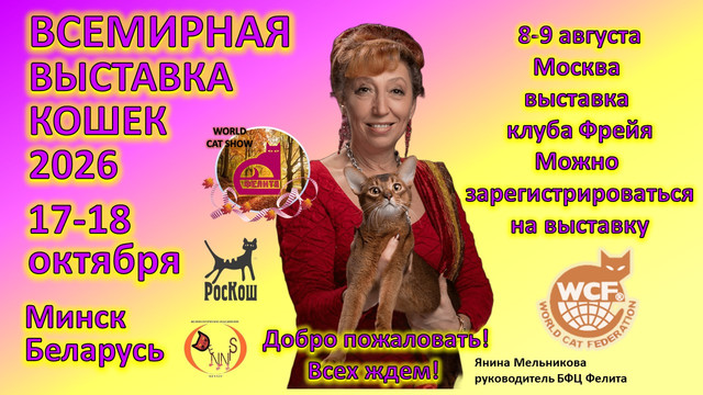афиша 18