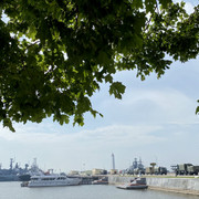 IMG-2776