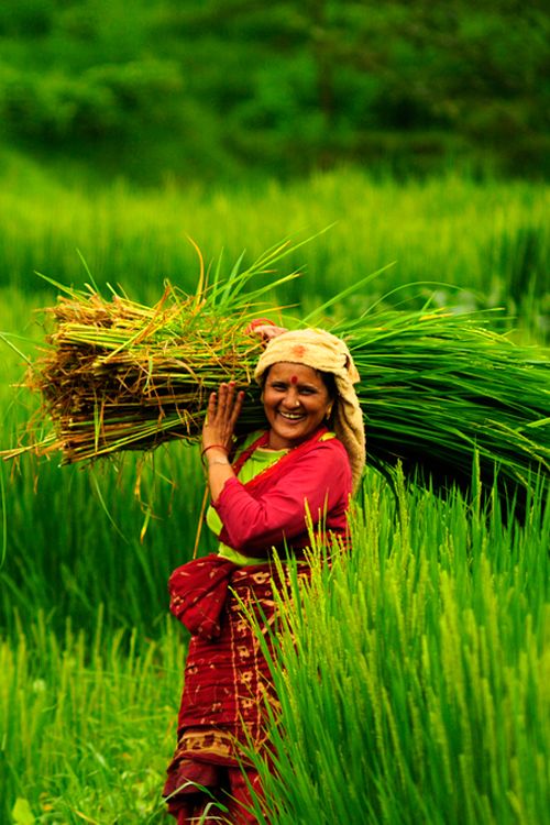 রহিমা বেগম