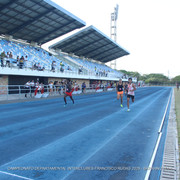IMG 0398