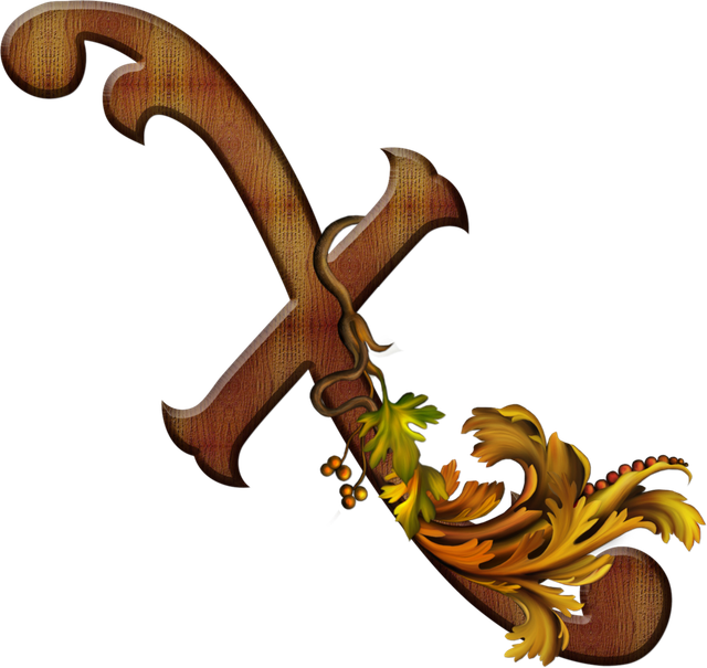 X 541771.png