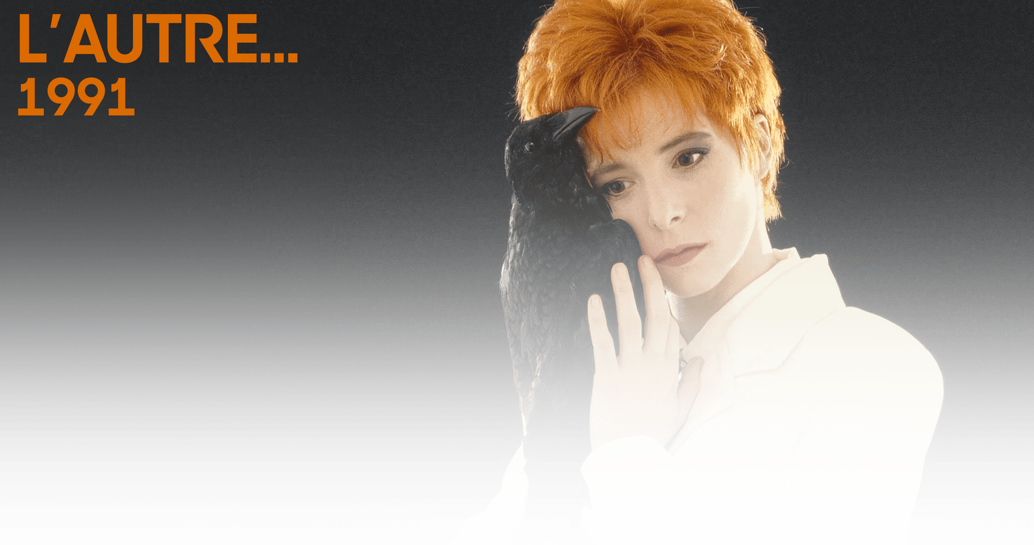 album introduction 3