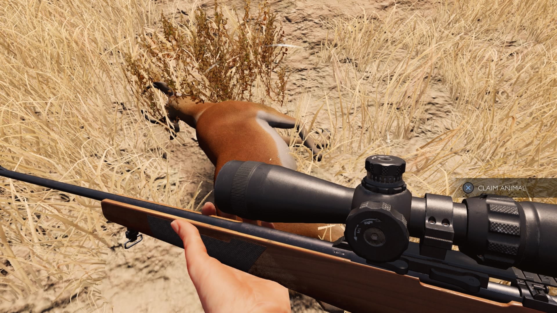 Hunting-Simulator-20250410082502.jpg