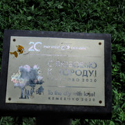 IMG-0589