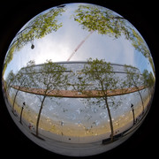 DSCF9116