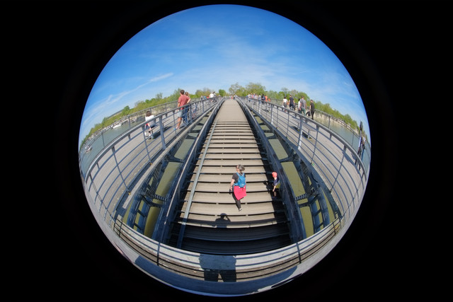 DSCF9255.jpg