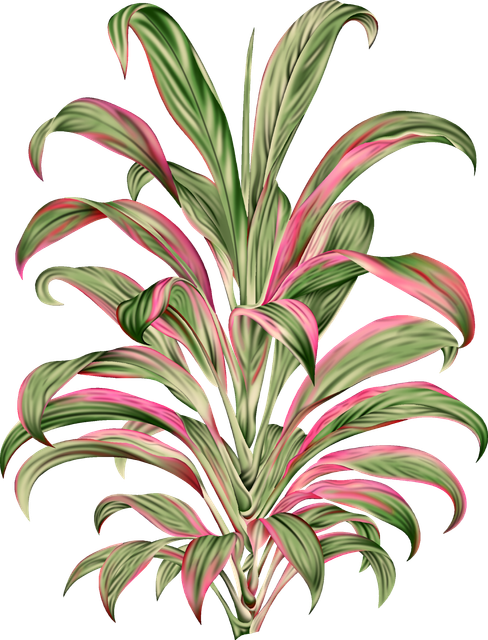 3556fe038bbdfad9d2bae99908847722.png