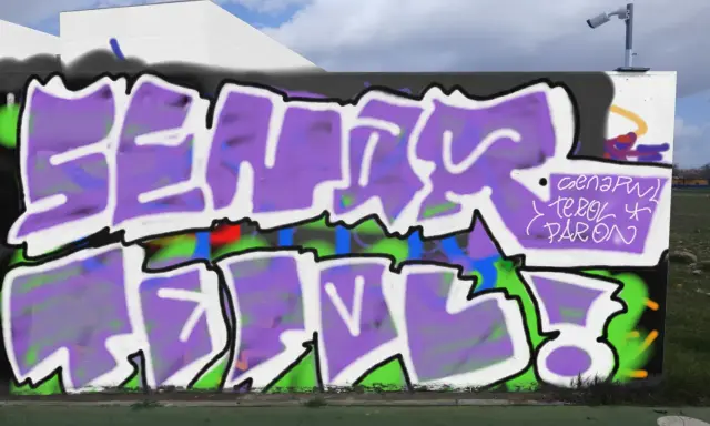 Graffiti artwork by senartolai