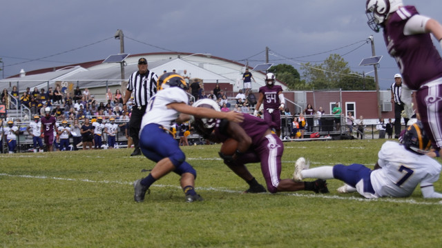 DSC2332.jpg