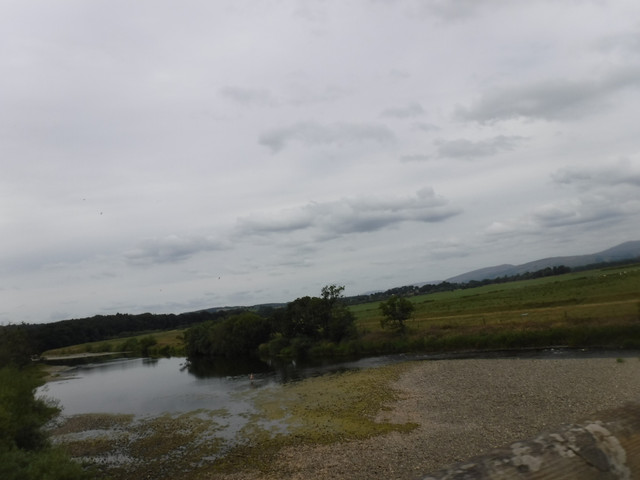 DSCF0214.jpg