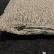 IMG 4244