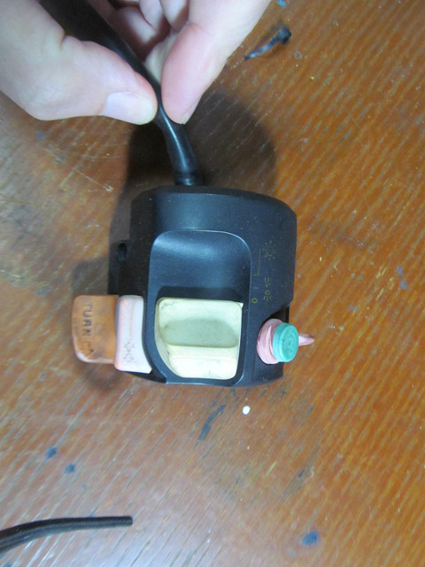 IMG 0490.jpg