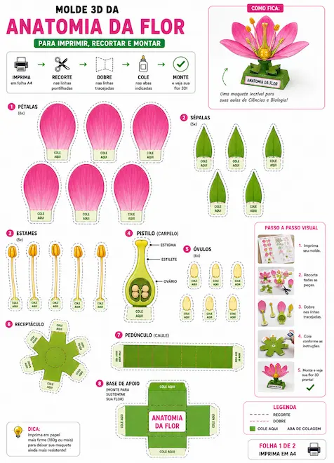Molde Anatomia da Flor 3D