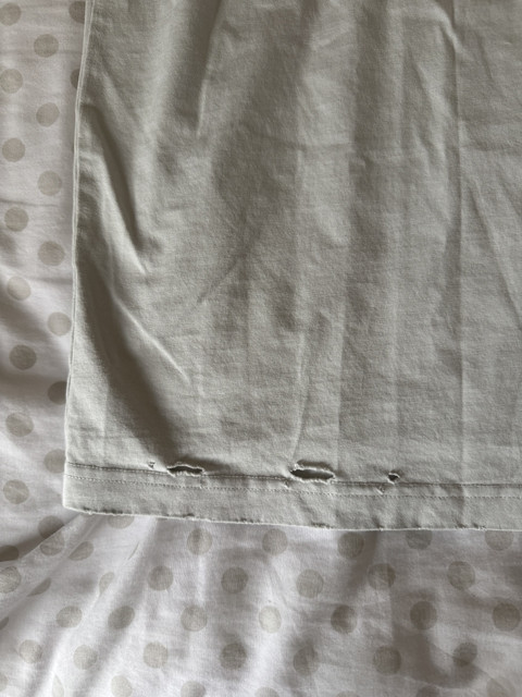 IMG-8890.jpg