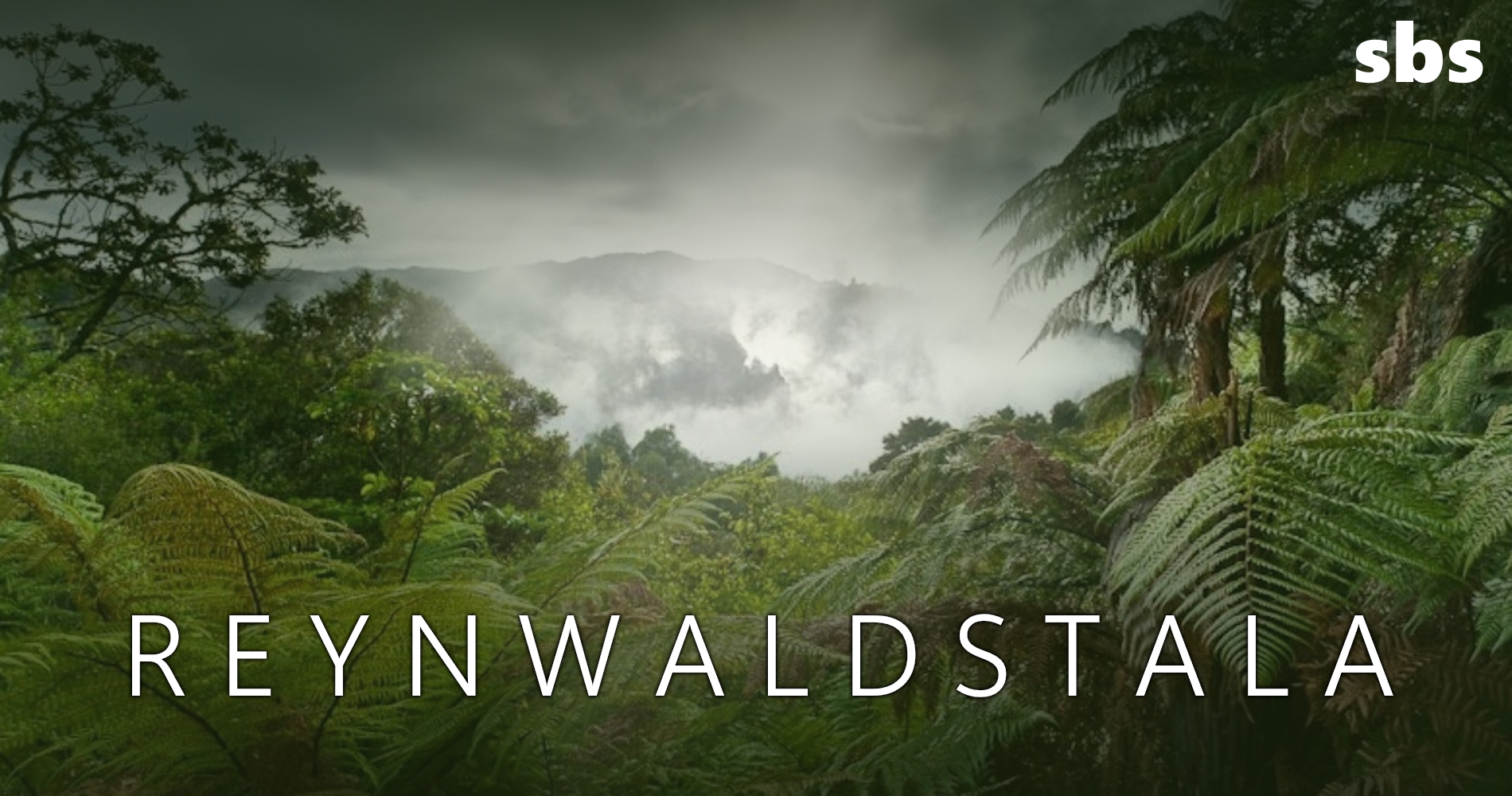 Rainforest-s-Tale.png