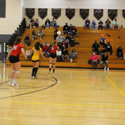 IMG-0331