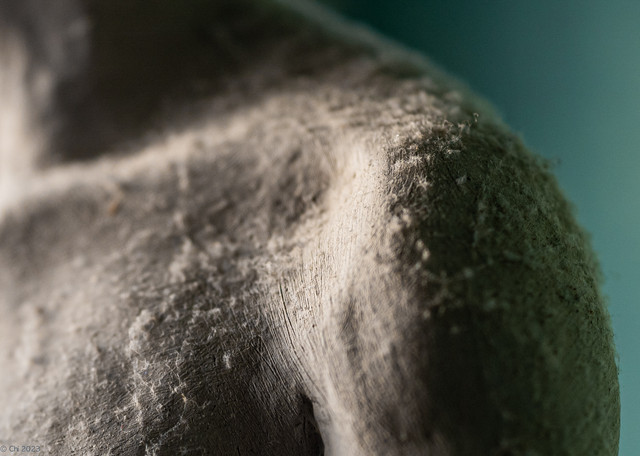L1010840-2