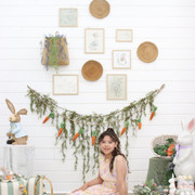 IMG-4137