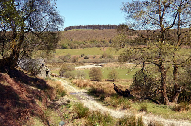 IMGP0078.jpg