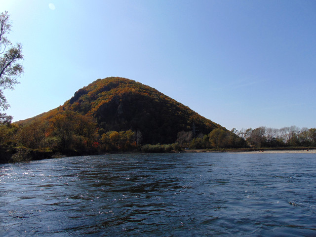 DSC07167.jpg