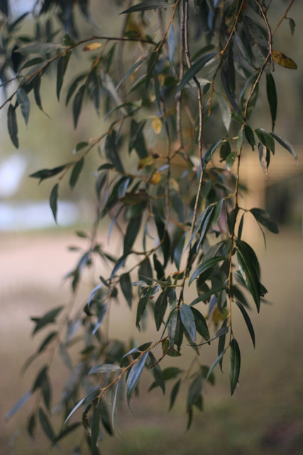 IMG 7681.jpg