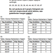 gezi