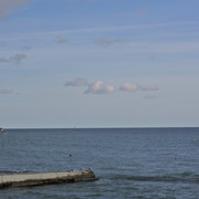 DSC-6806