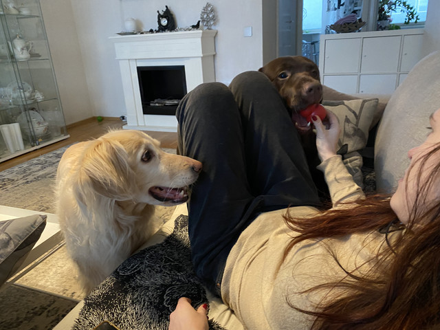 01-AAA786-1-D06-4-AEE-B0-C5-26-B0-B2-E62