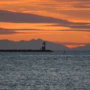 IMG-3222