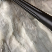 IMG 7360