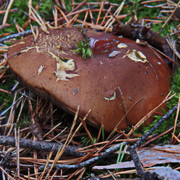 PA010156