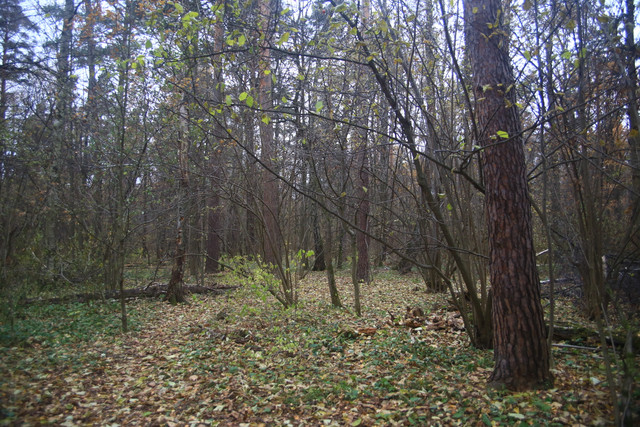 IMG-2107
